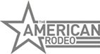 THE AMERICAN PERFORMANCE HORSEMAN