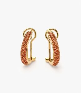 Shining earrings
