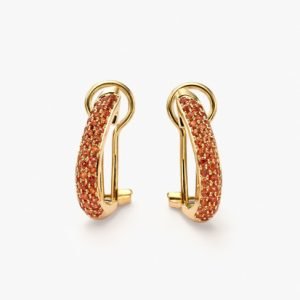 Shining earrings
